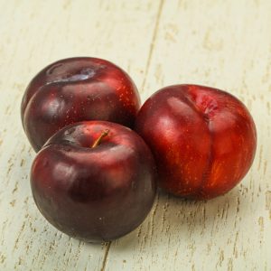 نهال-آلو-آنجلا-۰۱-پالیز-نهال-scaled