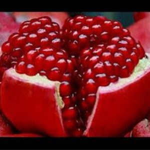 I380X253_031029088159