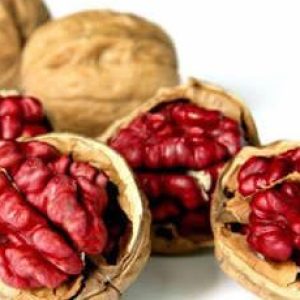 WhatsApp-Image-2021-11-08-at-9.48.47-PM-2-e1664912728160